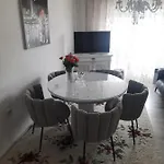 Aleksic * 沃迪切