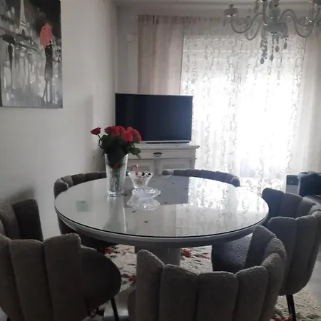 Apartment Aleksic *